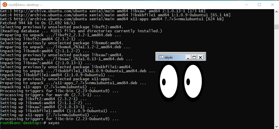 xeyes running graphically in Windows, under Linux